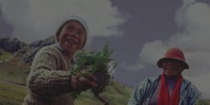 Mother and Child with Maca Root