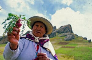 High in the Andes at 14,000 feet the elders realized that maca was excellent in supporting their health. Here, In 1994, Maca Mama knows best for regulating your monthly cycle and keeping your hair and bones strong...