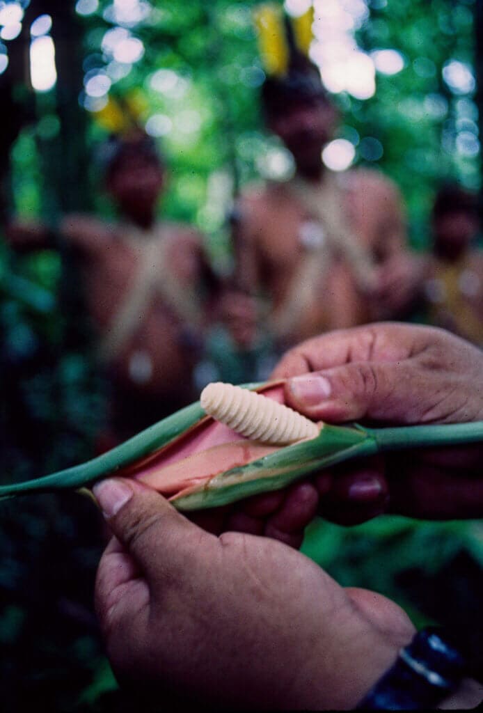 Wholesale Herbs America, Inc.